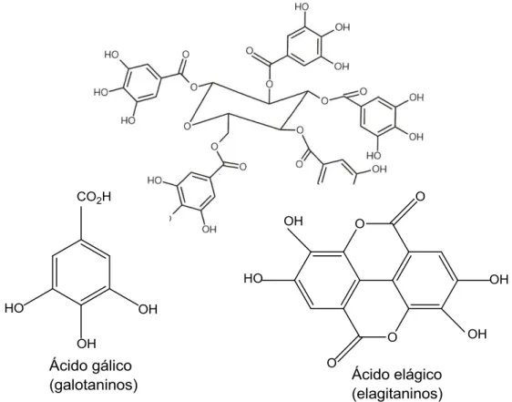 Figura 16: Estrutura química de um tanino hidrolisável  