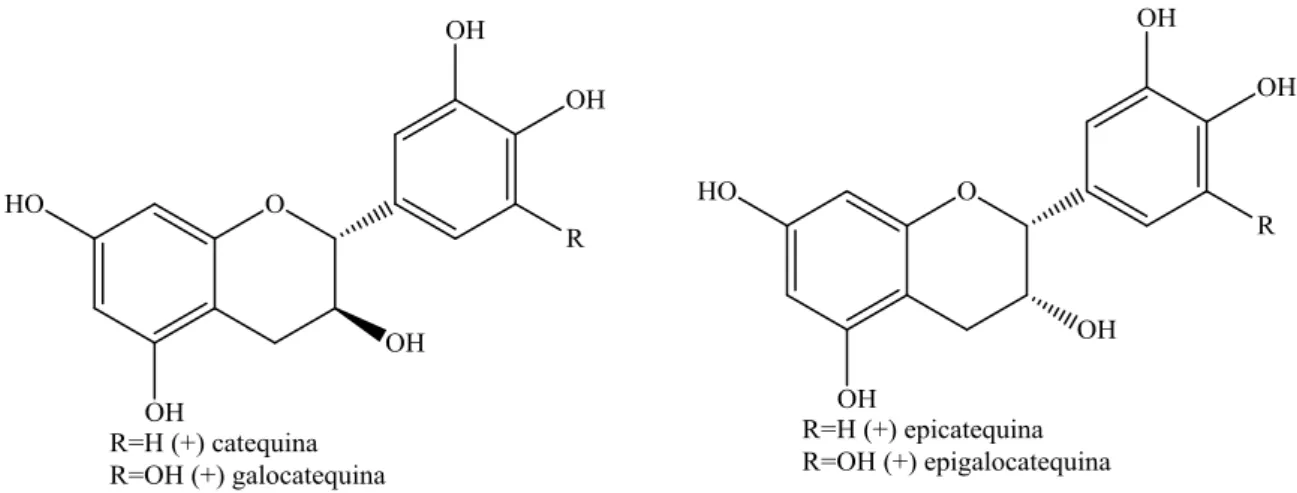 Figura 18: Estruturas das unidades monoméricas das principais proantocianidinas  