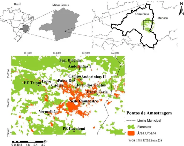 Figura 1. Mapa da área de estudo com a distribuição dos pontos de amostragem (em roxo) nos fragmentos  florestais  de  Mata  Atlântica  na  cidade  de  Ouro  Preto-MG-Brasil  (2016),  para  verificar  a  ocorrência  de  algumas aves florestais