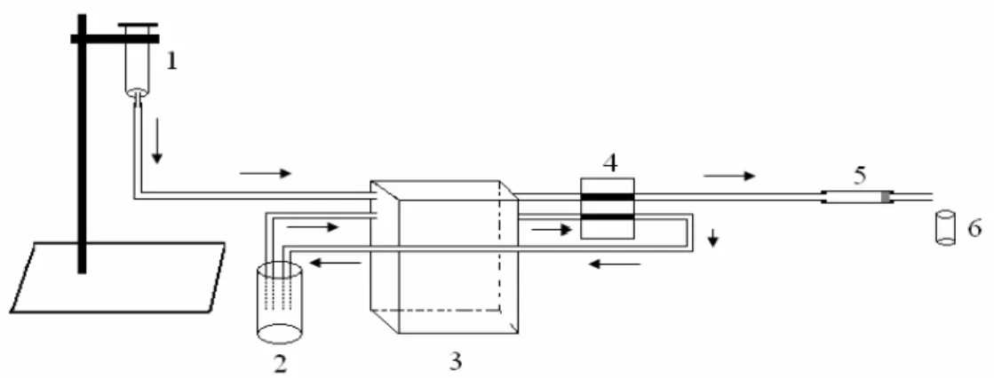 Figura 9 .   Esquema do sistema utilizado para realizar a pré-concentração dos íons metálicos