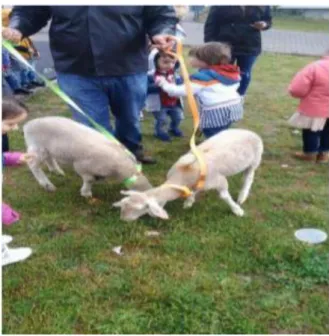 Figura 10 - Registo fotográfico de duas ovelhas levadas ao Jardim de Infância por um pai 