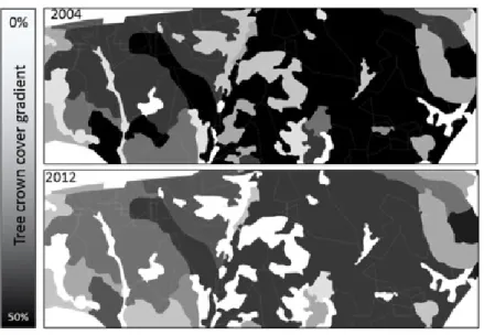 Figure 2. Example of the tree crown cover of farm #1 in 2004 and in 2012. Gray lines are the intersection of the abiotic factors (polygons)