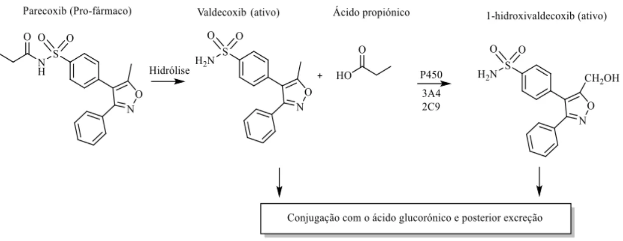 Figura 3. Vias metabólicas do parecoxib in vivo (Adaptado de Ibrahim et al., 2002).