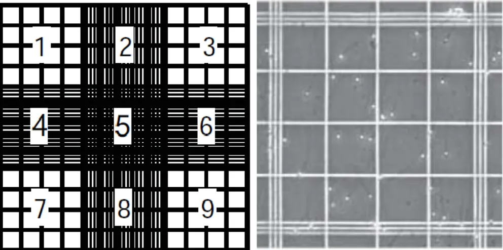 Figura 9. Esboço câmara de Neubauer. A contagem das células é realizada nas grelhas laterais, representadas com  os números 1, 3, 7 e 9 (painel da esquerda)