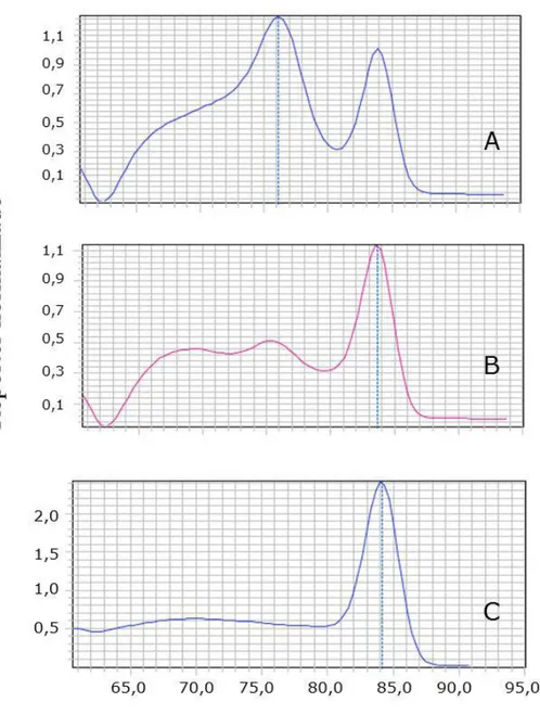 Figura 2: Curvas de dissociação de amostras de pele de cães naturalmente infectados. 