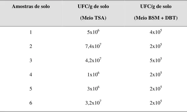 Tabela  5.1  -  Enumeração  de  populações  bacterianas  isoladas  das  amostras  de  solo  contaminadas com petróleo