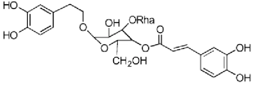 Figura 1.14 Estrutura molecular do verbascósido. Adaptado de Ryan et al. (2002). 