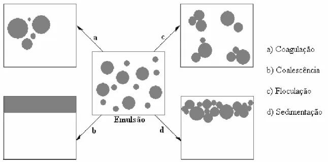 Figura 3.9 – Mecanismos envolvidos no processo de desestabilização das emulsões  (adaptado de Myers, 1999)