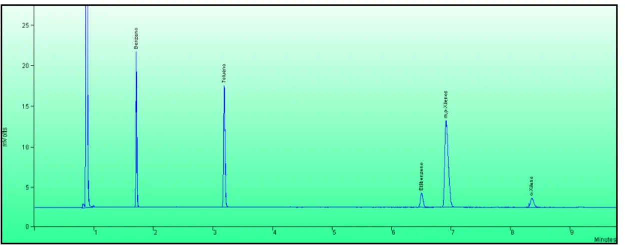 Figura  4.1  –  Cromatograma  padrão  GC-FID  para  uma  solução  com  concentração  em 
