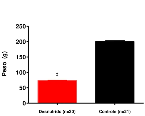 Figura  7  -  Efeito  da  dieta  sobre  o  peso  corporal  de  animais  do  grupo  desnutrido  e  controle  35  dias  após o desmame