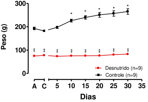 Figura 8 - Efeito da restrição protéica sobre o peso corporal nos animais do grupo desnutrido2R-1C e  controle 2R-1C: antes (A), no dia (C) e nos trinta dias posteriores a cirurgia 2R-1C