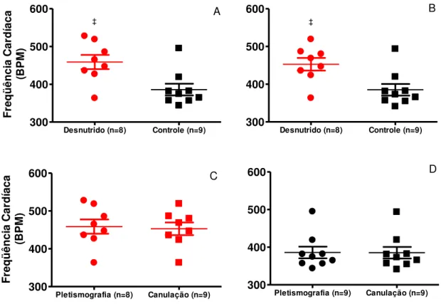 Figura 9 – Os painéis A, B, C, D demosntram efeitos da dieta sobre os níveis médios de FC mensurado  pelo  método  indireto  e  direto  simultaneamente:  No  painel  A,  aminais  desnutridos  e  controles  pelo  método  indireto  (Pletismografia);  no  pai