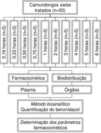 Figura 8: Delineamento experimental para a avaliação da farmacocinética e biodistribuição do BNZ 