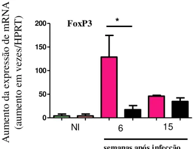 Figura  4:  Expressão  de  FoxP3  nas  lesões  cutâneas  crônicas  dos  camundongos  TNFR1  KO  e  selvagens  infectados por  L
