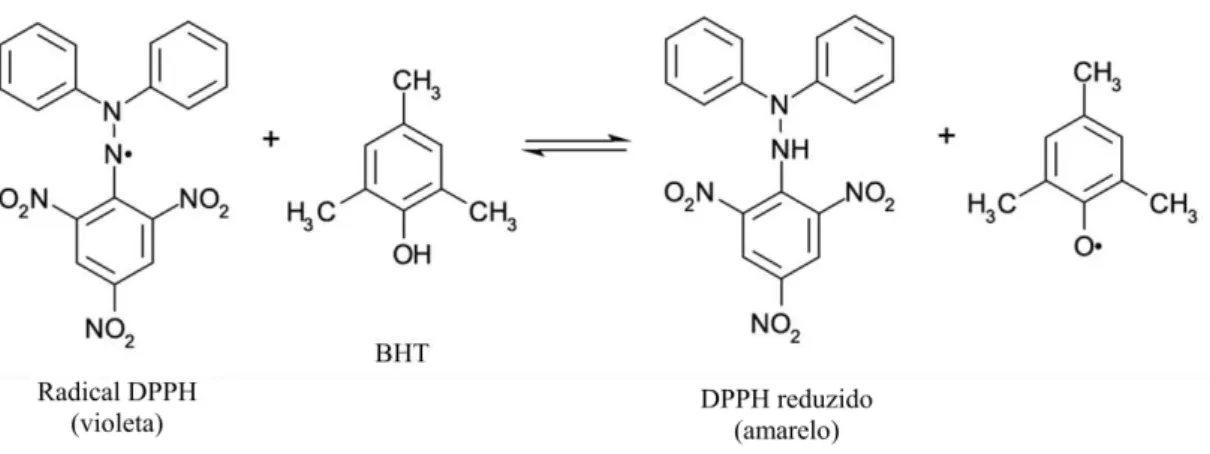 Figura 2: Reação de redução do radical DPPH pelo antioxidante sintético BHT  Fonte: TIVERON, 2010 