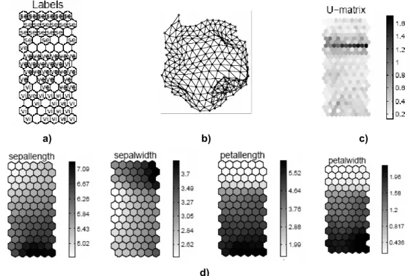 Figure 24 – SOM visualizations. (Vesanto, Himberg et al. 1999),(Vesanto 2000) 