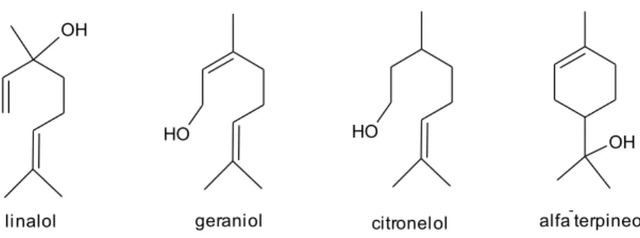 Figura 1. Exemplo de monoterpenos que contribuem para o aroma de bebidas alcoólicas  (MAICAS e MATEO, 2005)