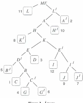 Figura 3 – Árvore  