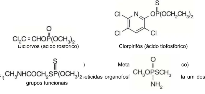 Figura 3 – Estrutura química  de inseticidas organofosforados típicos  de cada um dos  grupos funcionais