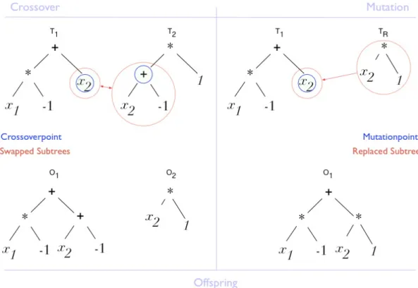 Figure 2.4.: Example variation with crossover and mutation