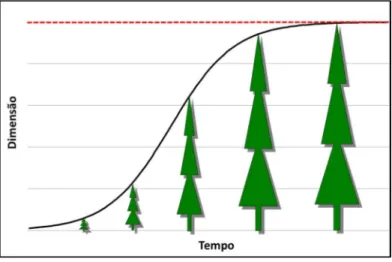 Figura 2.1 – Função de crescimento 