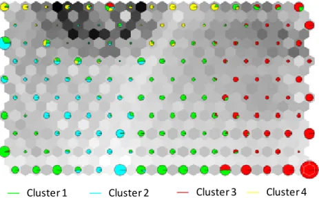 Figure 3.9 - SOM EM Cluster representation in GeoSOM 15x10 SOM U-matrix                  