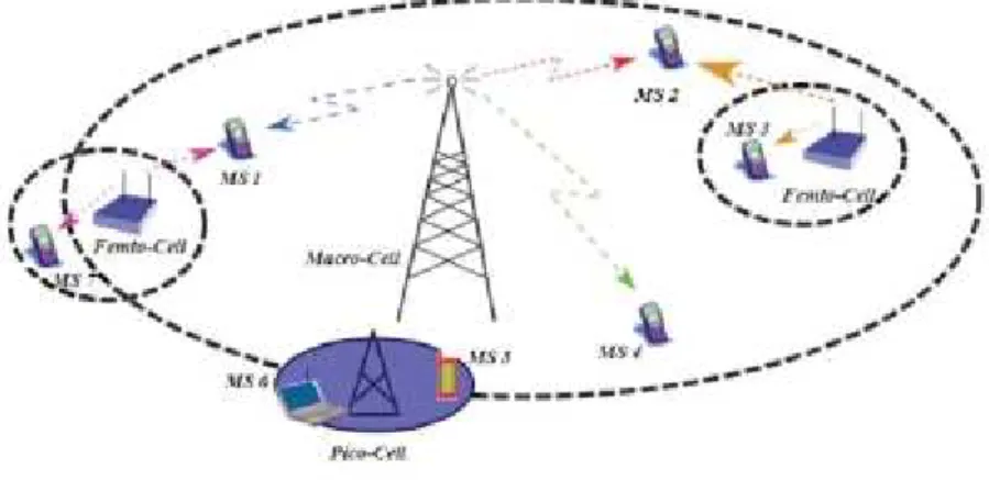 Figure 10: Cell