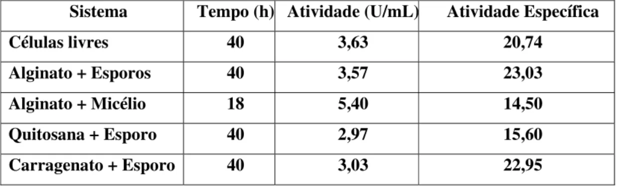 Tabela 2. Produção de lipase por Sporotrichum termophile imobilizado.  