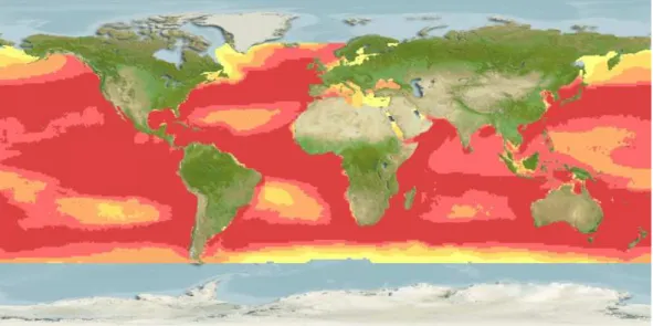 Figure  I.3:  Global  distribution  map  for  the  blue  shark,  Prionace  glauca.  The  color  scale  represents  the  relative  probabilities  of  occurrence,  with  red  and  yellow  representing  higher  and  lower  probabilities  of  occurrence,  resp