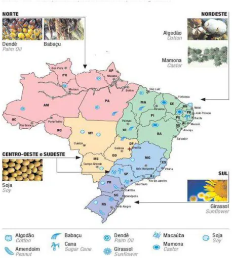 Figura 1 - Potencialidade brasileira para produção e consumo de combustíveis vegetais