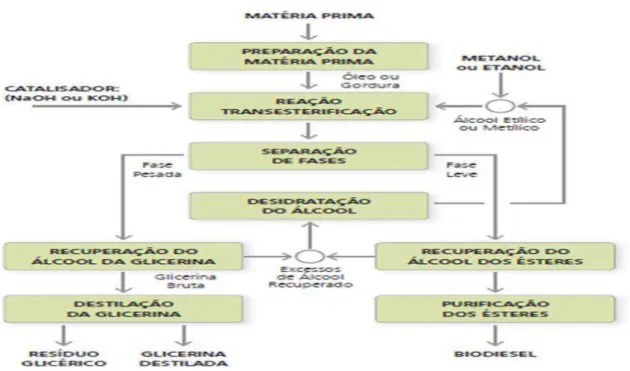 Figura 4 - Processo de produção do biodiesel a partir da transesterificação.  Fonte: PARENTE, 2003