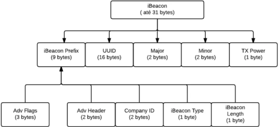 Figura 3.7: Formato do sinal transmitido pelo iBeacon