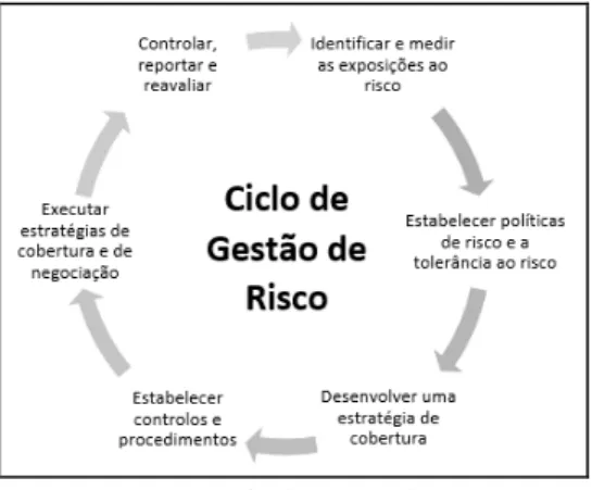 Figura 1 - Ciclo de gestão de risco  Fonte: Payne (2010) (figura adaptada) 