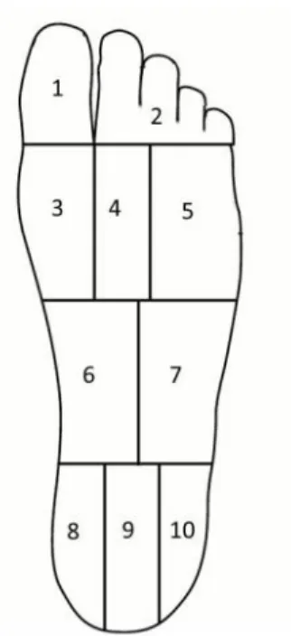 Figure 1: the 10 regions of foot-sole.  
