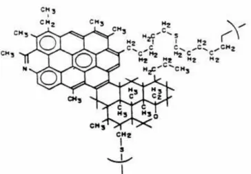 Figura 3.9: Estrutura hipotética de uma molécula de asfalteno segundo Yen [23]. 