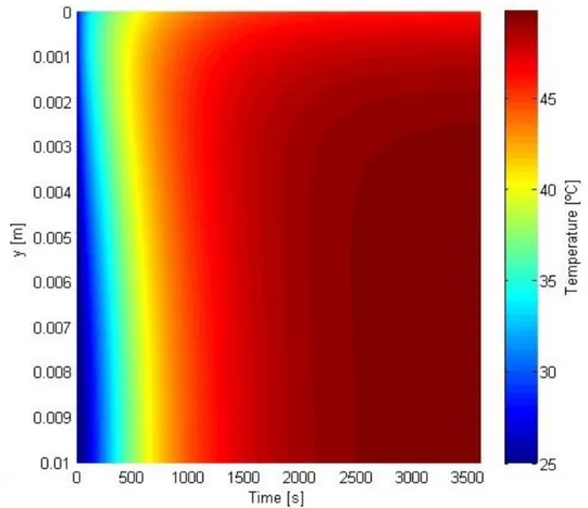 Figure 3.13 – Coloured temperature profile in transient regime for a MWCNT-based receiver 