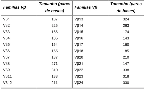 Tabela 2 – Tamanho esperado do produto de amplificação Vβ-Cβ para o segmento CDR3 de 10  aminoácidos 
