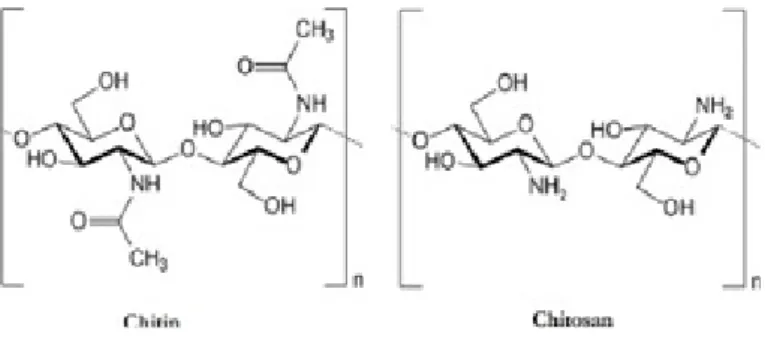 Figure 1- Chemical structure of chitin and chitosan (Available  from google images, 24/5/2018)