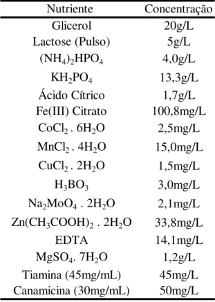 TABELA  3.5.  Composição  do  meio  definido  utilizado  nos  experimentos  em  frascos  agitados  (formulação  do  presente  trabalho  a  partir  do  meio  proposto  por Sargo, 2011)