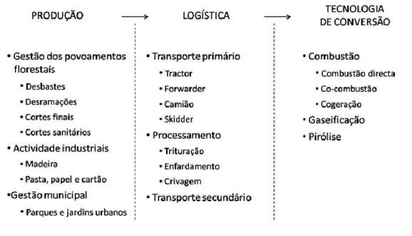 Figura 2 – Esquema geral dos sistemas de exploração de biomassa Residual (Netto, 2008)