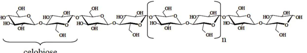 Figura  3.  5:  Representação  da  cadeia  linear  da  celulose,  formada  por  unidades  de  celobiose 