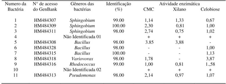 Tabela 4. 1: Lista de bactérias inicialmente utilizadas isoladas por Koroiva (2011) e  seus respectivos índices enzimáticos em relação a diferentes substratos de degradação.