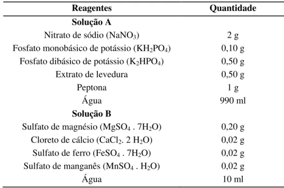 Tabela 4. 3: Composição 2 do meio de Berg (1972) modificado, pH 7,0 