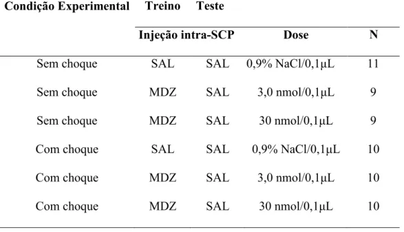 Tabela 1. Descrição dos grupos experimentais na aquisição da memória   Condição Experimental 