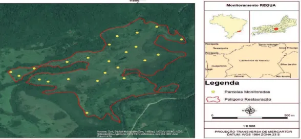 Figura 1: Localização da área de estudo no estado do Rio de Janeiro e distribuição espacial das parcelas de estudo (25 x 4 m)  na Reserva Ecológica Guapiaçu, município de Cachoeiras de Macacu, (RJ)