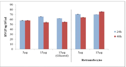 Figura  10:  Expressão  de  RVGP  (ng/10 7  cel)  em  células  S2  transfectadas  com  o  método  de  precipitação  com fosfato de cálcio