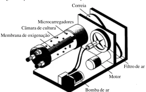 Figura 6 - Diagrama esquemático de um biorreator de paredes rotativas. 