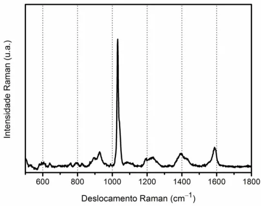 FIGURA  2.2    Espectro  SERS  da  nicotinamida  obtido  utilizando  o  substrato  sintetizado