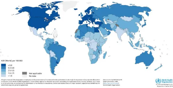 Figure  1.  Representation  of  world  map  with  estimated  age-standardized  incidence  rates  in  2018 of bladder cancer in both sexes in all ages [2] .