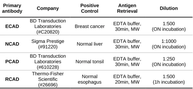 Table 3. Primary antibodies used in IHC.